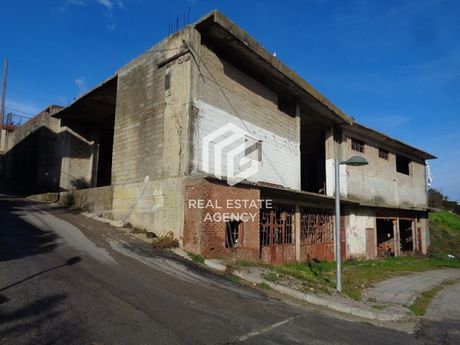 Βιομηχανικός χώρος 1.433τ.μ. για πώληση-Θεσπιές » Άσκρη