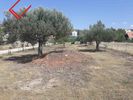 Land plot 800sqm for sale-Koropi » Agia Marina