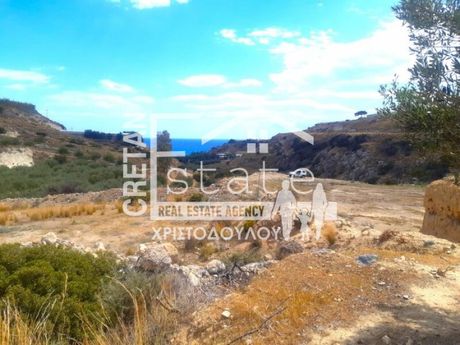 Parcel 12.000sqm for sale-Ierapetra » Ammoudares