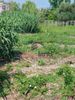 Land plot 1.200sqm for sale-Patra » Ities