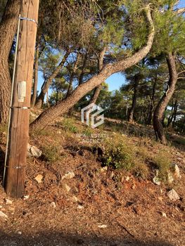 Οικόπεδο 1.049τ.μ. για πώληση-Αφίδνες » Αγία τριάδα
