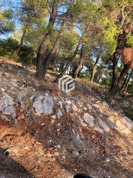 Οικόπεδο 1.049τ.μ. για πώληση-Αφίδνες » Αγία τριάδα