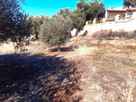 Land plot 840sqm for sale-Ierapetra » Makrilia