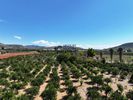Parcel 6.000sqm for sale-Nafplio » Agia Kiriaki