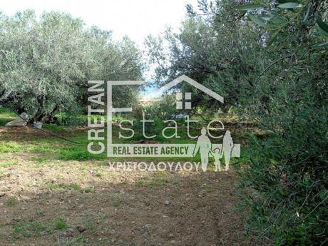 Parcel 2.000sqm for sale-Ierapetra » Ferma