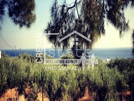 Parcel 12.000sqm for sale-Ierapetra » Ferma