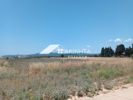 Parcel 6.600sqm for sale-Alexandroupoli » Nea Chili