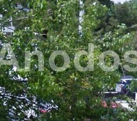 Οικόπεδο 331 τ.μ. πρός πώληση