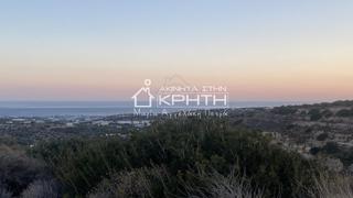 Οικόπεδο 19.000 τ.μ. προς πώληση, Ιεράπετρα-thumb-4