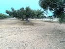 Land plot 670sqm for sale-Ierapetra » Center