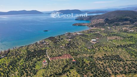 Αγροτεμάχια 4.025τ.μ. για πώληση-Ερμιόνη » Αχλαδίτσα