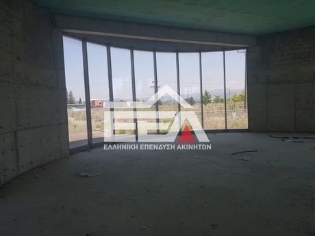 Επιχειρηματικό κτίριο 4.100τ.μ. για πώληση-Θέρμη » Νέο ρύσιο