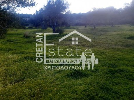 Parcel 5.000sqm for sale-Ierapetra » Vainia