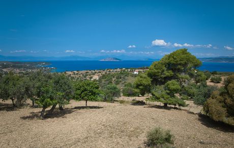 Αγροτεμάχια 6.336τ.μ. για πώληση-Κρανίδι » Θυνί