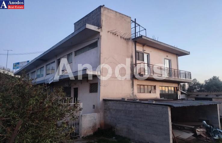 Industrial space 1.200 sqm for sale