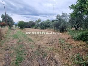 Οικόπεδο 501,50 τ.μ. για πώληση, Εύβοια, Αιδηψός-thumb-1
