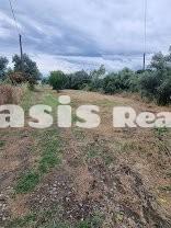 Οικόπεδο 501,50 τ.μ. για πώληση, Εύβοια, Αιδηψός-thumb-2