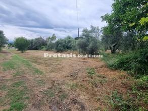 Οικόπεδο 501,50 τ.μ. για πώληση, Εύβοια, Αιδηψός-thumb-3