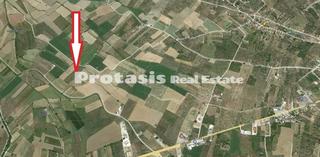 Αγροτεμάχια 10.406,62 τ.μ. για πώληση