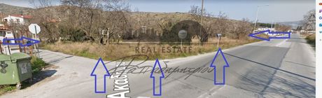 Αγροτεμάχια 3.000τ.μ. για πώληση-Βόλος » Νέες παγάσες