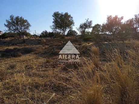 Αγροτεμάχια 2.130τ.μ. για πώληση-Αίγινα » Κυψέλη