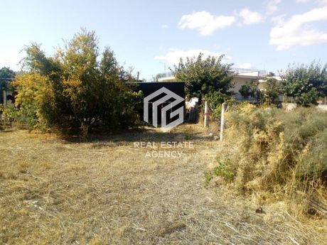 Αγροτεμάχια 668τ.μ. για πώληση-Μεσσαπία » Ψαχνά