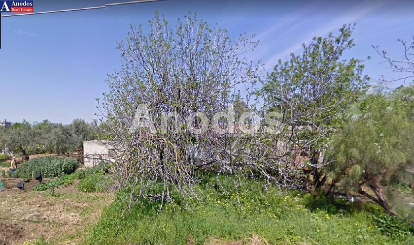 Οικόπεδο 377τ.μ. για πώληση-Μαρούσι » Σωρός