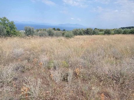 Οικόπεδο 5.000τ.μ. για πώληση-Ξυλόκαστρο » Καριώτικα