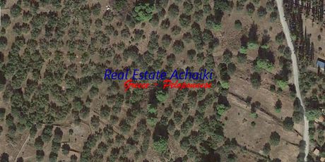 Οικόπεδο 6.818τ.μ. για πώληση-Διακοπτό » Τράπεζα