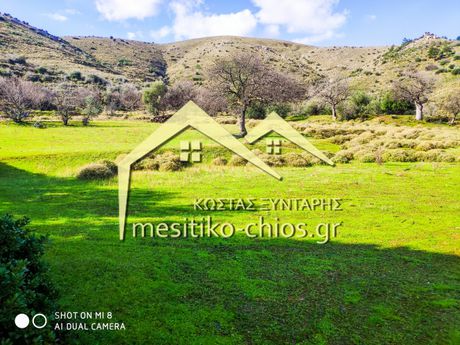 Οικόπεδο 4.500τ.μ. για πώληση-Χίος » Πόλη χίου