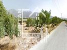 Αγροτεμάχια 12.375τ.μ. για πώληση-Ιεράπετρα » Κεντρί
