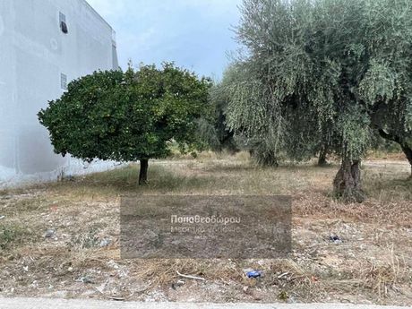 Land plot 300sqm for sale-Patra » Ities