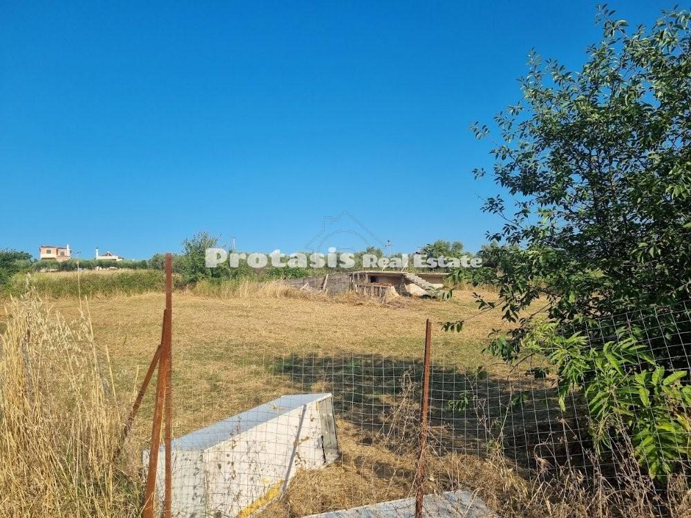 Οικόπεδο 670,45 τ.μ. προς πώληση, Ωρεοί