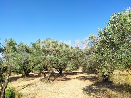 Parcel 3.350sqm for sale-Nea Agchialos » Aidini