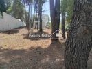 Οικόπεδο 780τ.μ. για πώληση-Διόνυσος » Κέντρο