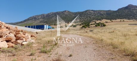 Αγροτεμάχια 4.545τ.μ. για πώληση-Ασπρόπυργος » Αμμουδιές