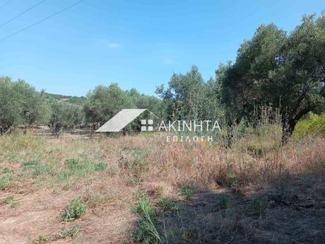 Parcel 4.031sqm for sale-Alexandroupoli » Makri