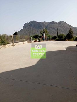 Business bulding 300sqm for rent-Akrotiri » Stavros