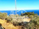 Αγροτεμάχια 5.000τ.μ. για πώληση-Ιεράπετρα » Αγία φωτιά