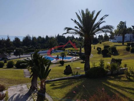 Maisonette 120sqm for sale-Kassandra » Pefkochori