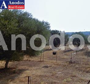 Land plot 2.000 sqm for sale, Athens - East, Pallini