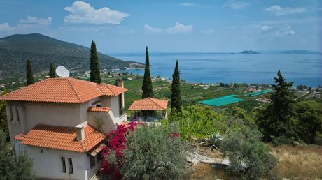 Μονοκατοικία 120τ.μ. για πώληση-Επίδαυρος » Νέα επίδαυρος