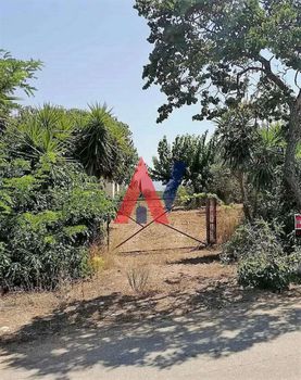Αγροτεμάχια 9τ.μ. για πώληση-Δυτικής αχαΐας » Άνω αχαΐα