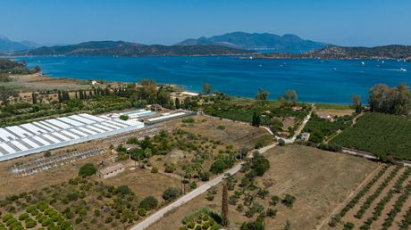 Parcel 11.250sqm for sale-Trizina » Galatas