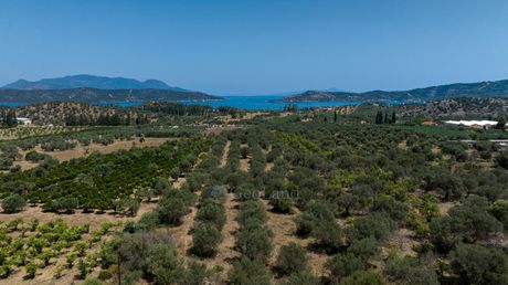 Parcel 21.780sqm for sale-Trizina » Galatas