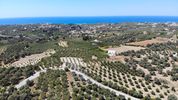 Land plot 4.618sqm for sale-Arkadi » Asteri