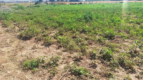 Parcel 4.316sqm for sale-Echedoros » Nea Magnisia