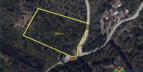 Αγροτεμάχια 5.800τ.μ. για πώληση-Σκόπελος » Αθέατο