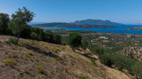 Οικόπεδο 22.000τ.μ. για πώληση-Τροιζήνα » Γαλατάς