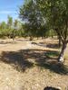 Land plot 3.334sqm for sale-Pirgos » Skafidia